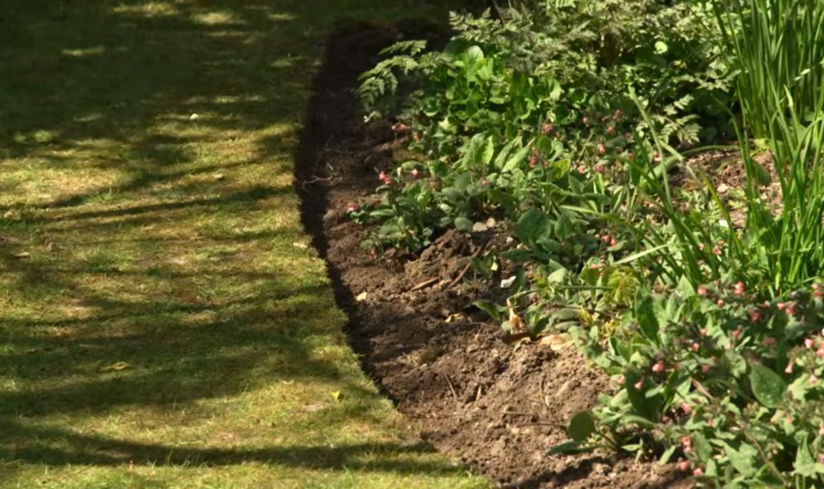 Neat lawn edges