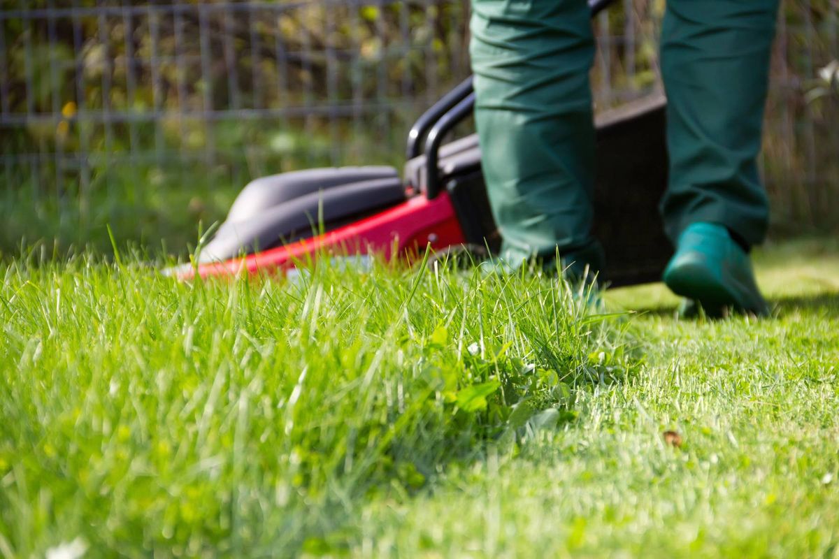 A person in green protective gear is using a red and black lawn mower to trim the lush green grass in a garden setting.