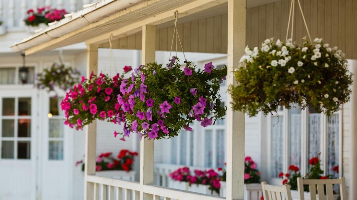 9 Annuals That Won’t Die on Your Porch This Summer (Most Gardeners Are Planting the Wrong Ones) 9 Annuals That Won't Die on Your Porch This Summer (Most Gardeners Are Planting the Wrong Ones)