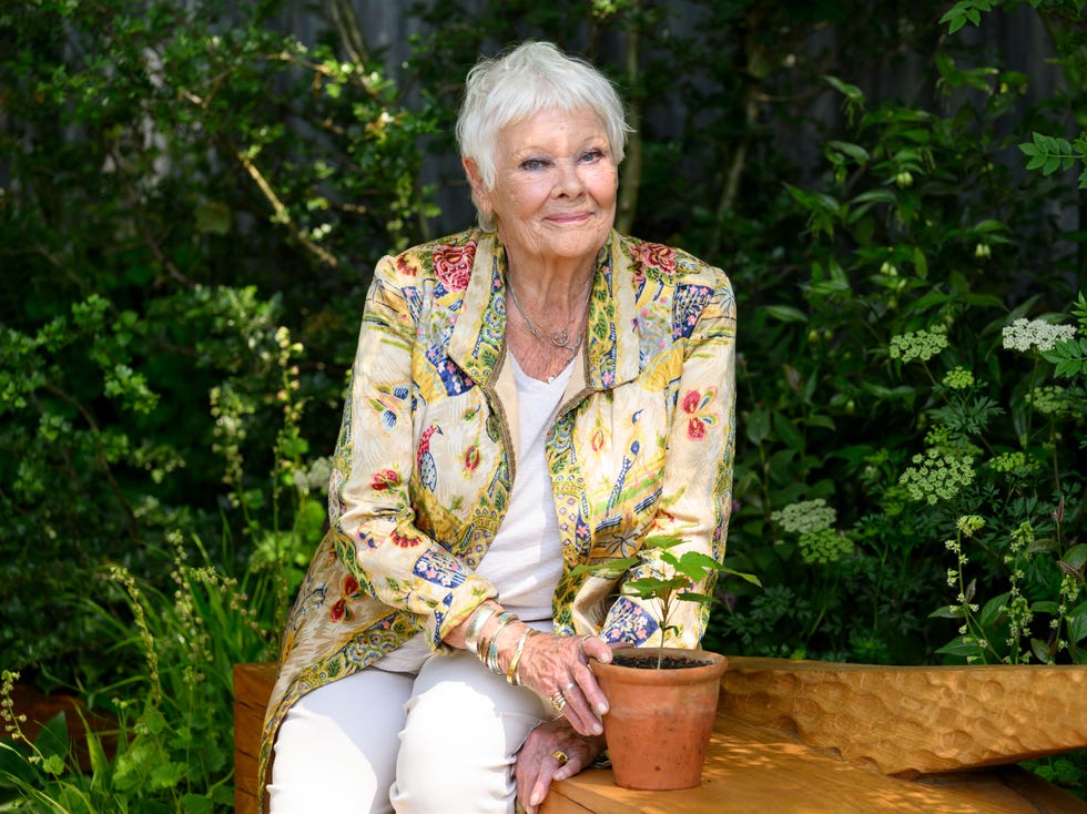 london, england may 20: dame judi dench attends the rhs chelsea flower show at royal hospital chelsea on may 20, 2024 in london, england. all the main garden categories return to the royal hospital chelsea this year. the show gardens along main avenue, sanctuary and feature gardens explore themes through horticulture, while the all about plants area in the floral marquee focuses on planting. this year is billed as the most sustainable to date. (photo by karwai tang/wireimage)