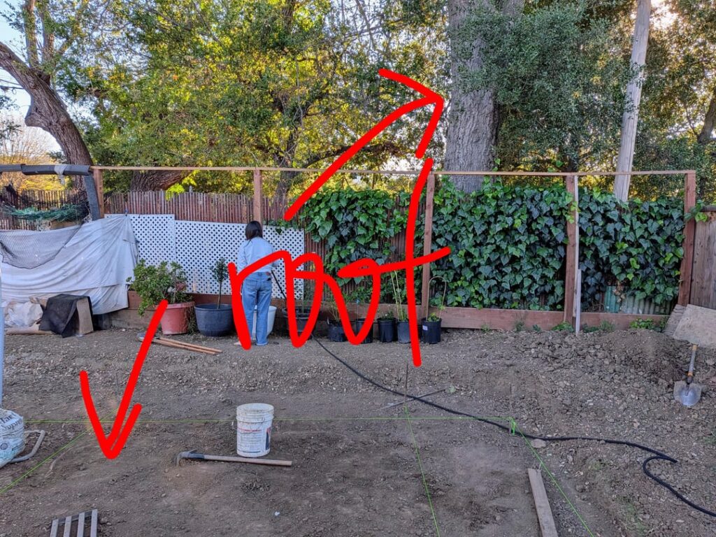 Is it safe to remove this root