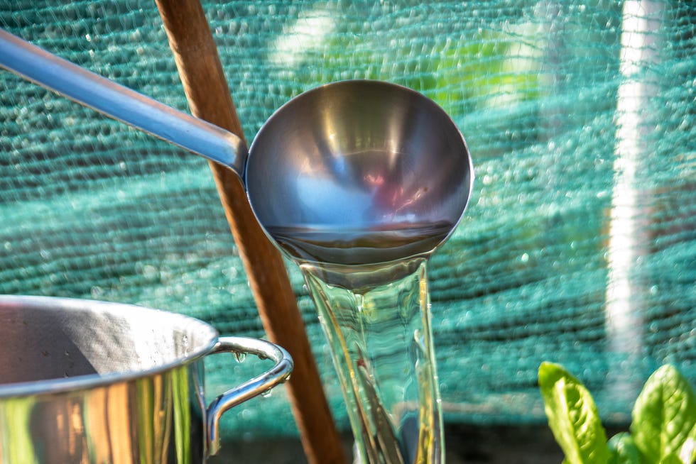 boiling water for weeds