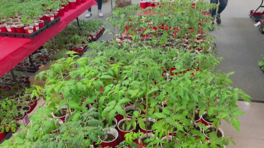 Spokane County Garden Fair and Plant Sale returning this weekend Spokane County Garden Fair and Plant Sale returning this weekend