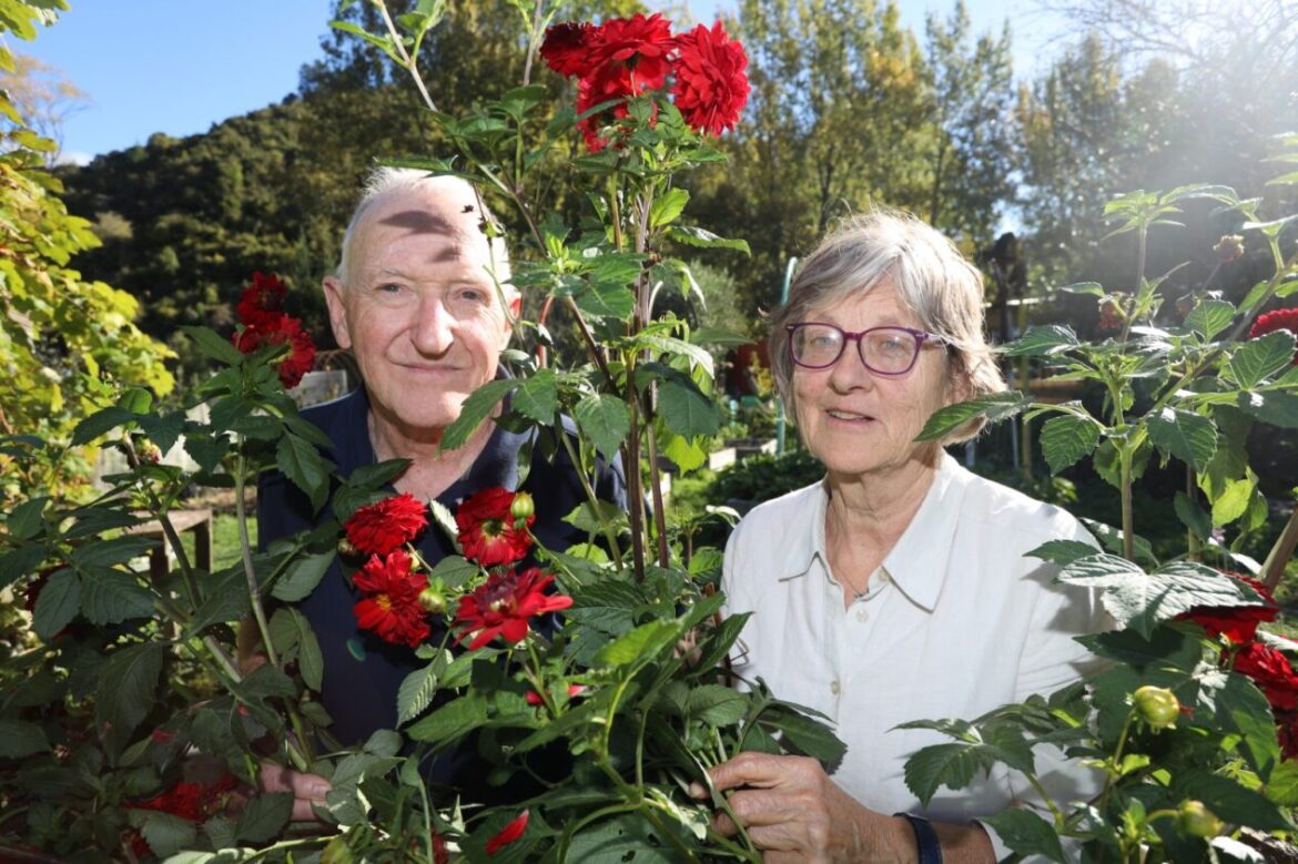 Waimārama Community Gardens turns 30 Top South Now