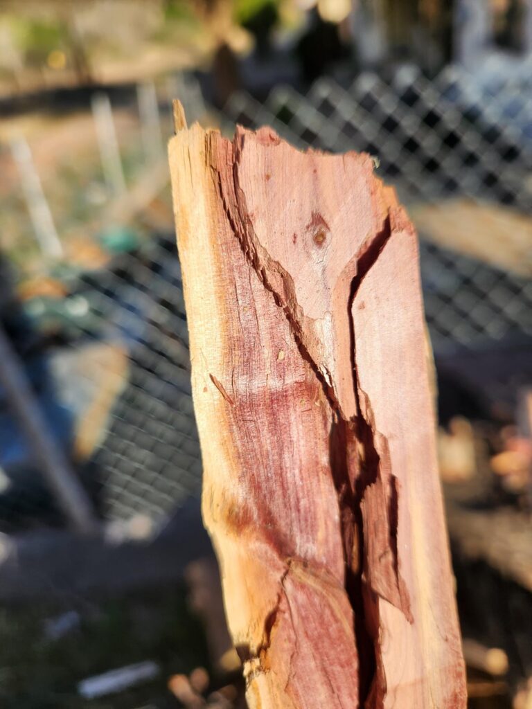 Is this just juniper heartwood? Is this just juniper heartwood?