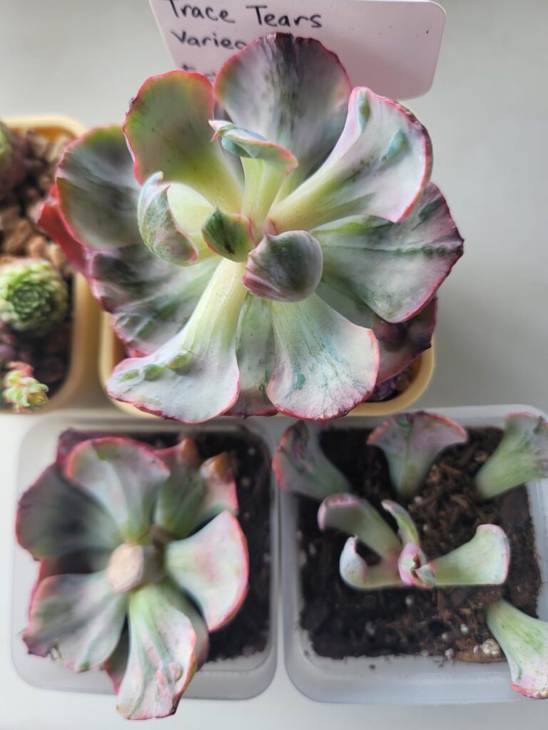 New additions!!