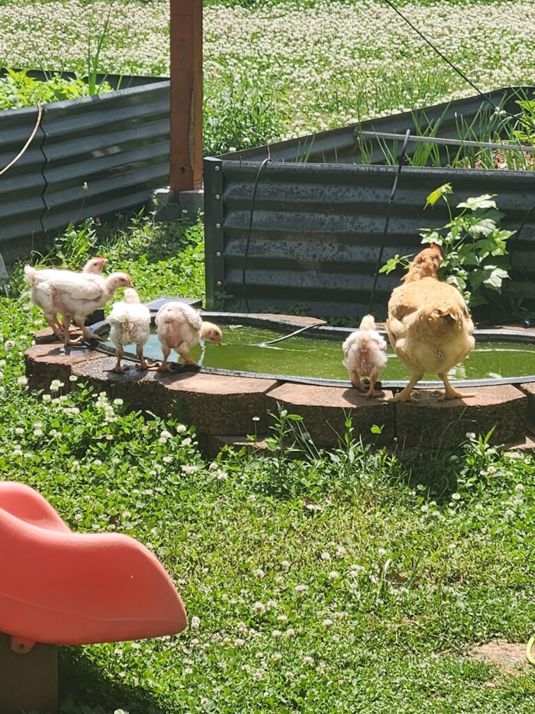 Not sure but I think this is what heaven looks like...