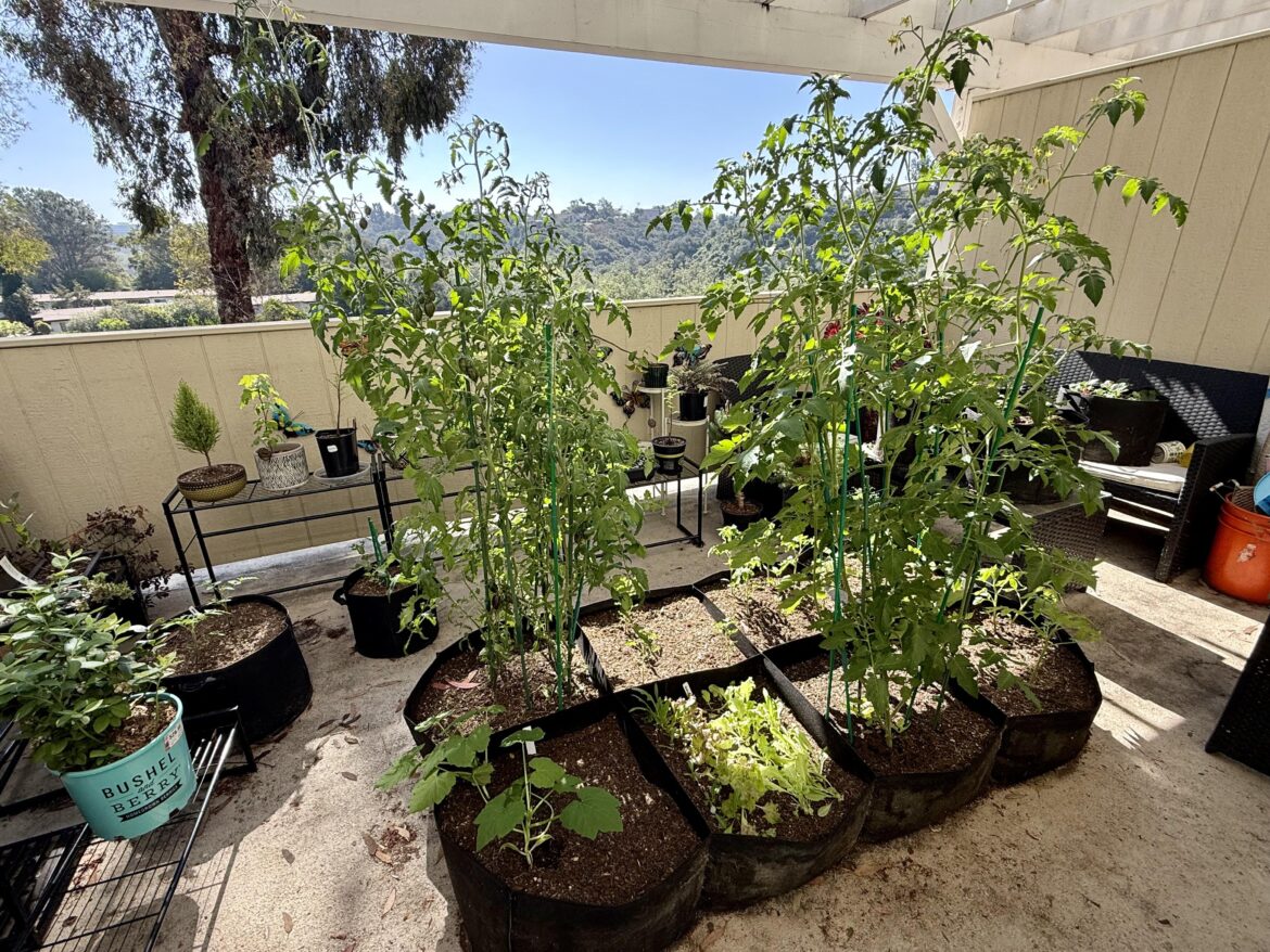 Deck Garden