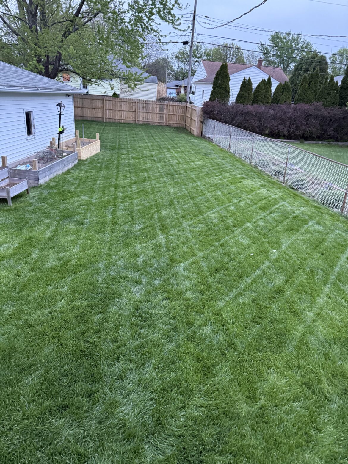Fall rehab to spring results - CLE, OH