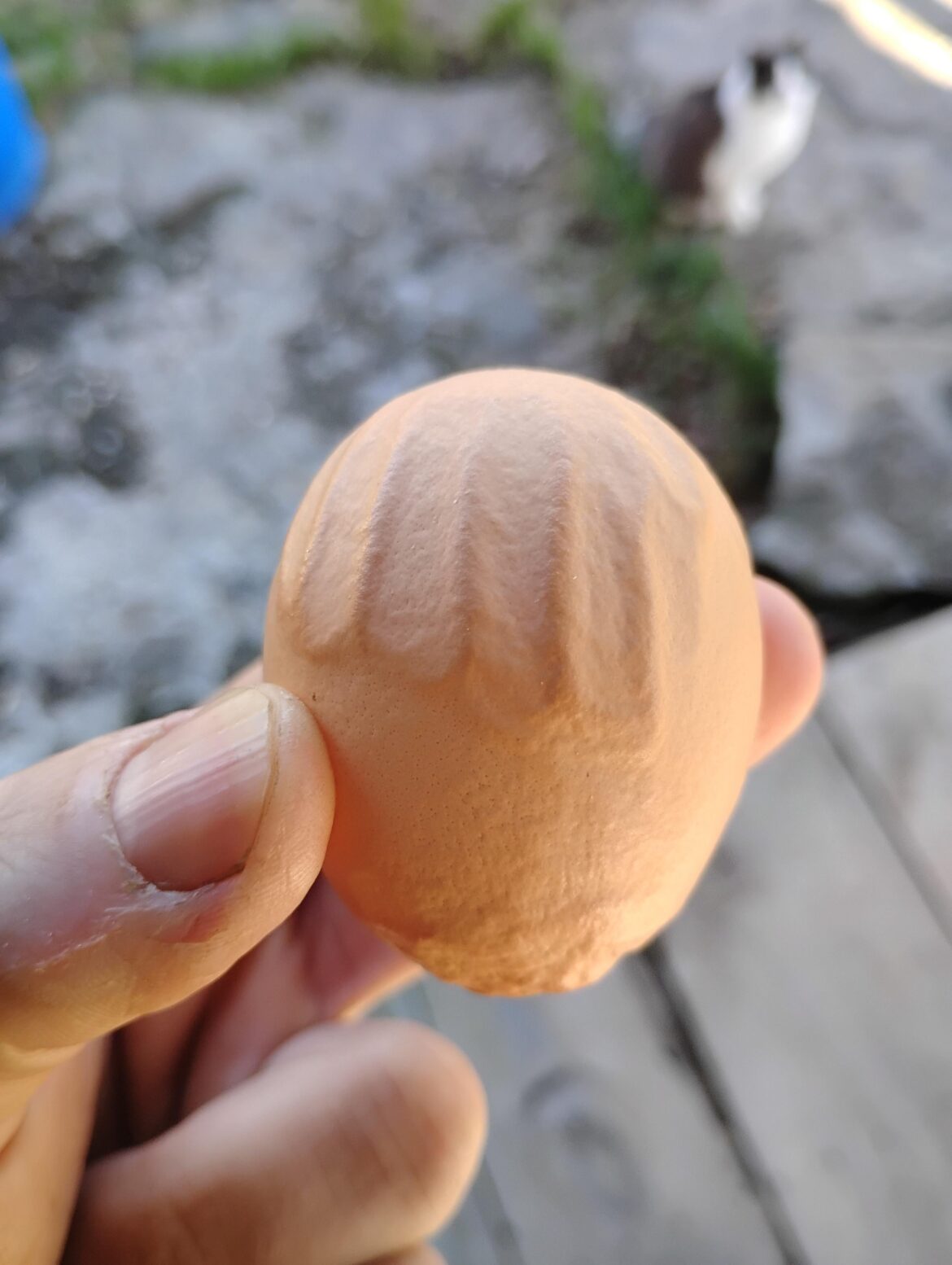 Someone in the coop had trouble squeezing one out