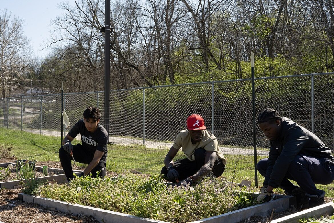 Lincoln University to open community garden for public, student use Lincoln University to open community garden for public, student use
