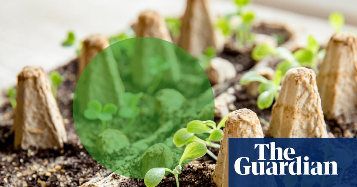 Garden gold: how to give common household waste new life as back yard essentials | Ethical and green living Garden gold: how to give common household waste new life as back yard essentials | Ethical and green living