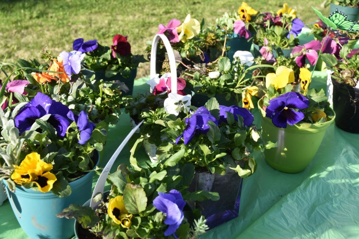 Washago Garden Club holding annual plant sale in May Washago Garden Club holding annual plant sale in May