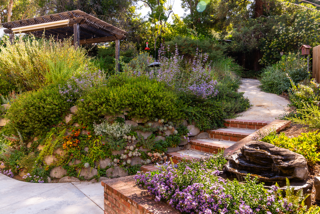 A Popular Native Plant Gardens Tour is Back This Weekend, and Bigger Than Ever A Popular Native Plant Gardens Tour is Back This Weekend, and Bigger Than Ever