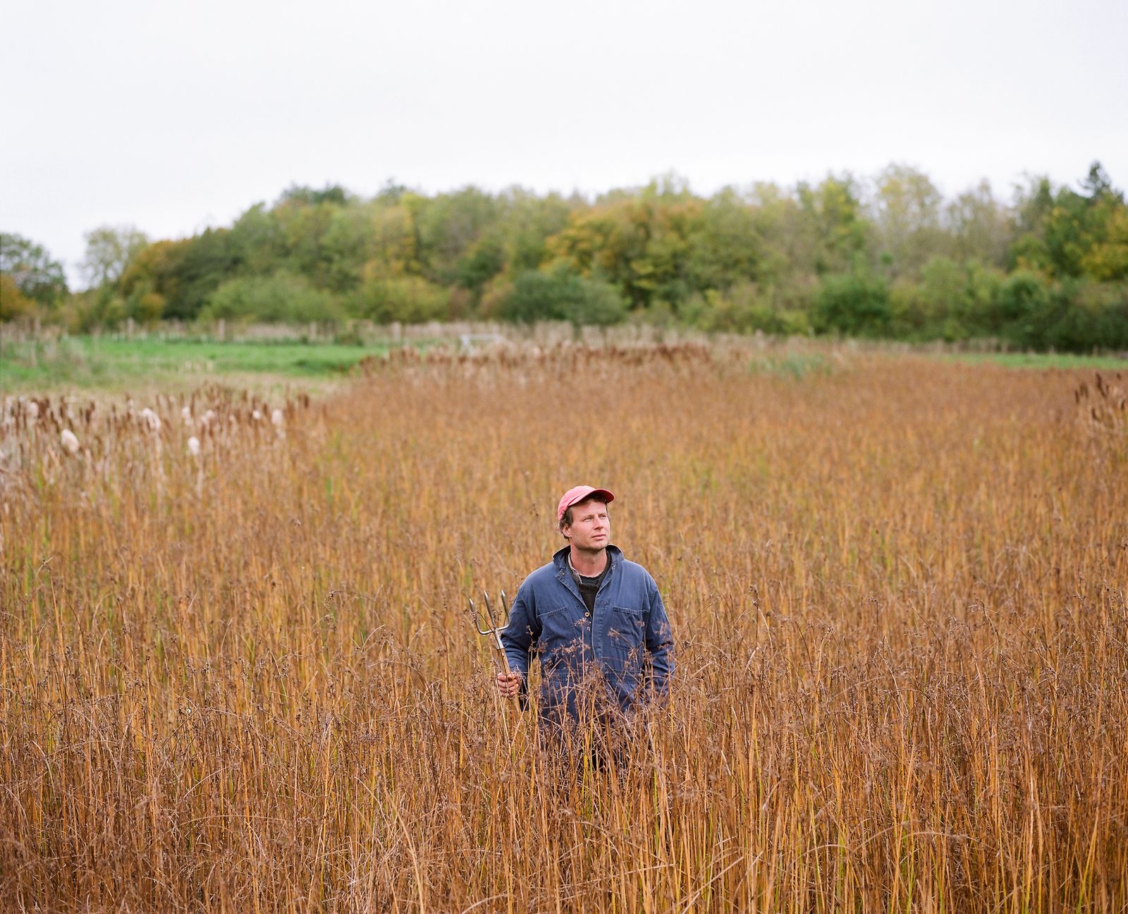 Image may contain Face Head Person Photography Portrait Grass Plant Reed Vegetation Field Grassland and Nature