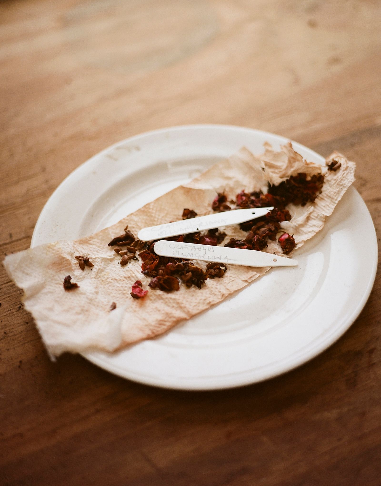 Image may contain Plate Bread Food and Food Presentation