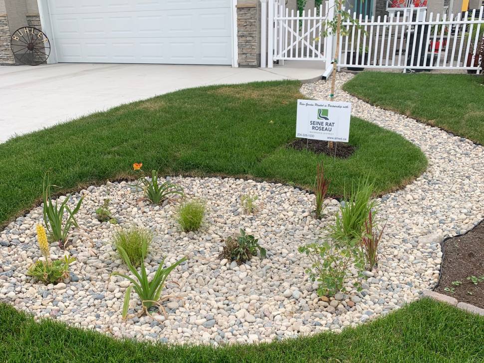 A growing interest: residents encouraged to build rain gardens – SteinbachOnline.com A growing interest: residents encouraged to build rain gardens - SteinbachOnline.com