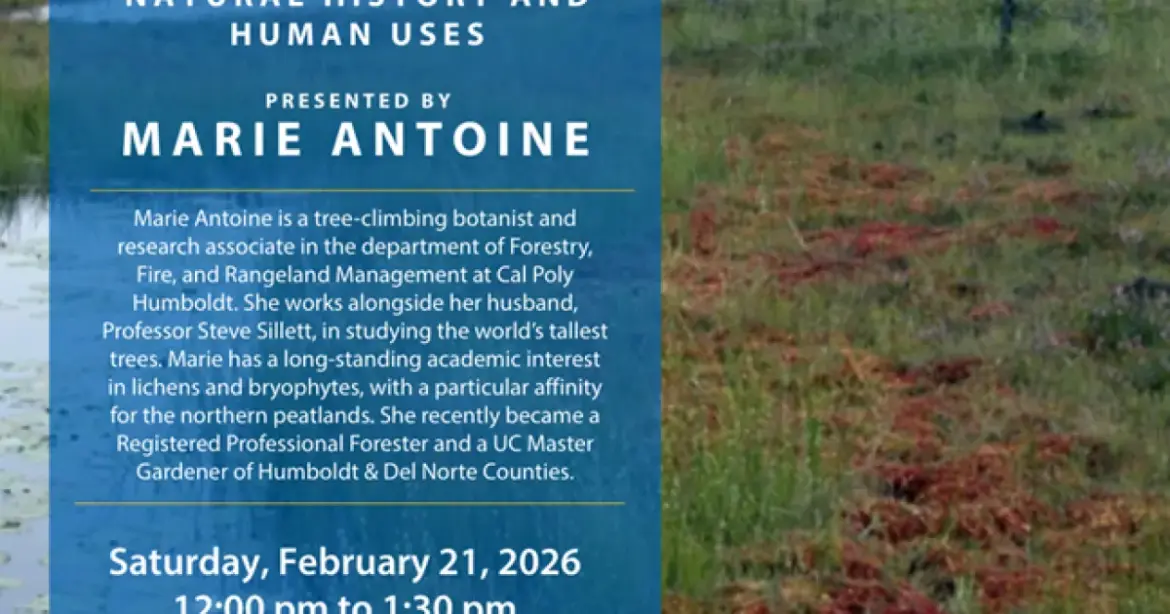 All About Peat – an interview Marie Antoine All About Peat - an interview Marie Antoine