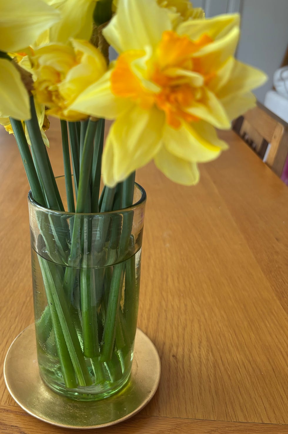Daffodils in vase of water yellow daffodils arranged in a glass vase on a wooden table
