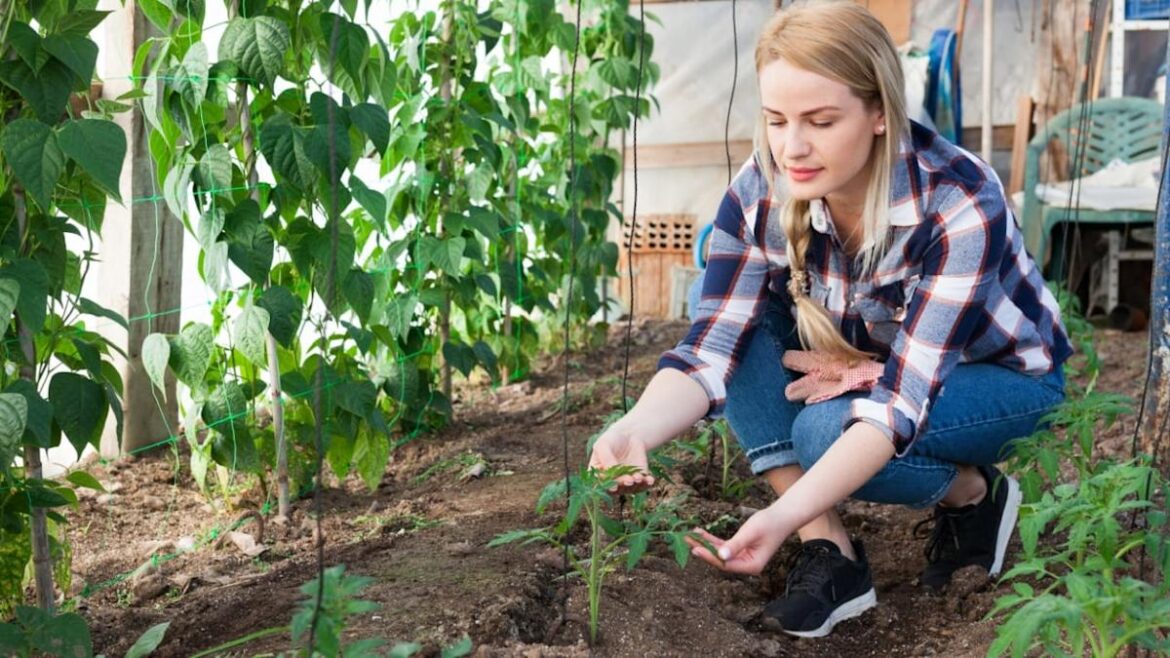 7 Things No One Actually Needs for Their Garden 7 Things No One Actually Needs for Their Garden