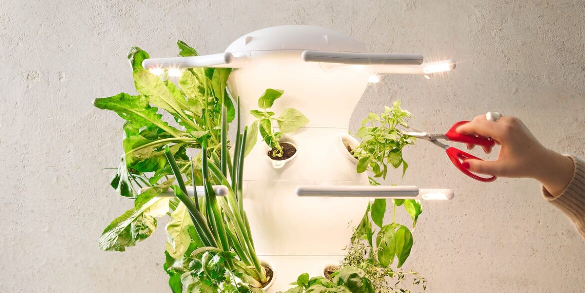 5 Top-Tested Indoor Herb Gardens We Loved 5 Top-Tested Indoor Herb Gardens We Loved