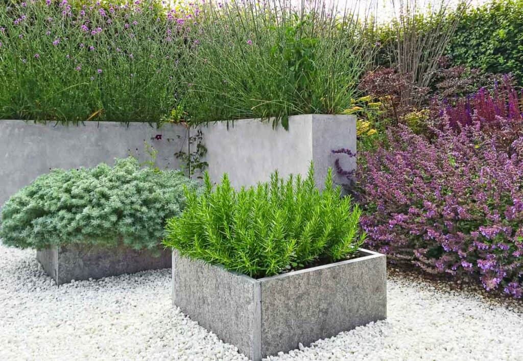 Rectangular concrete planters with rosemary and other green and purple plants are arranged on a white gravel ground in a modern garden setting.