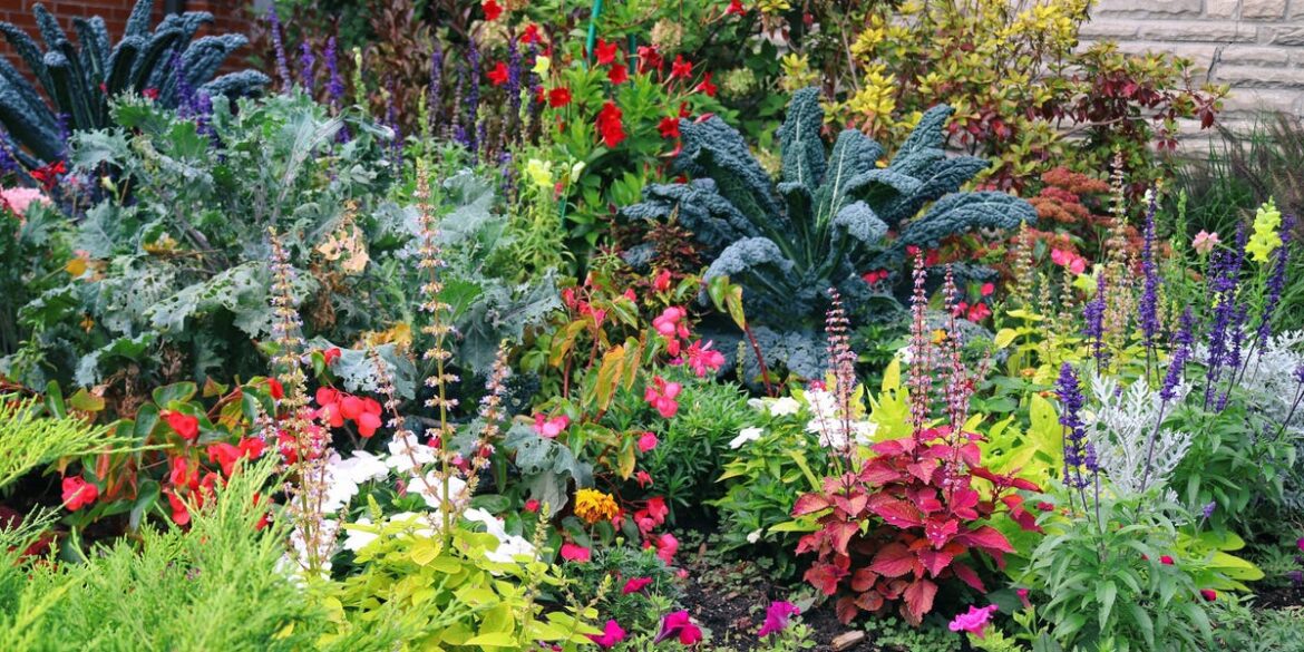 20 Best Shade Flowers That Are Easy to Grow 20 Best Shade Flowers That Are Easy to Grow