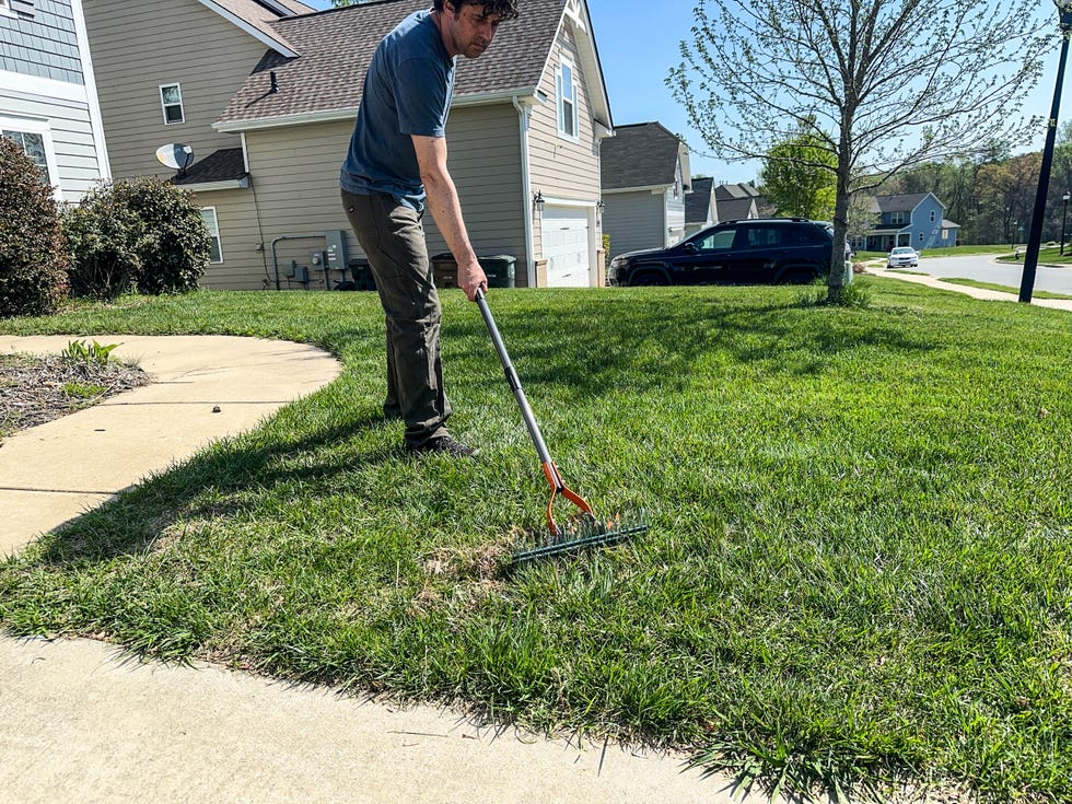 Person raking grass in a residential yard.