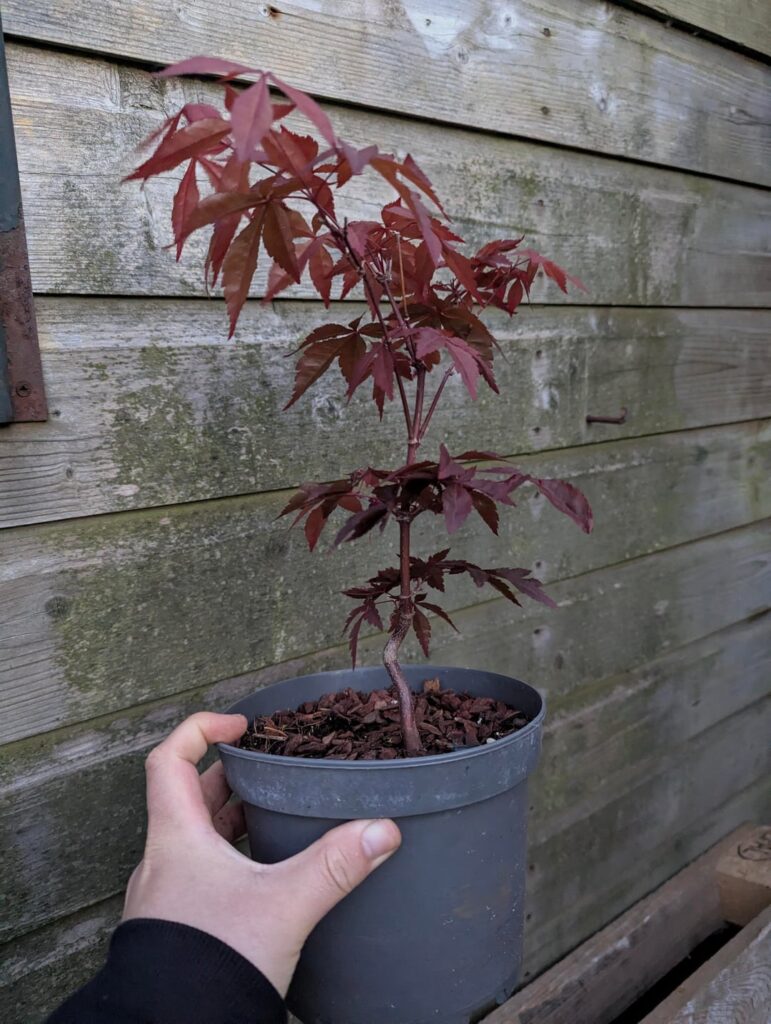 Spring time projects