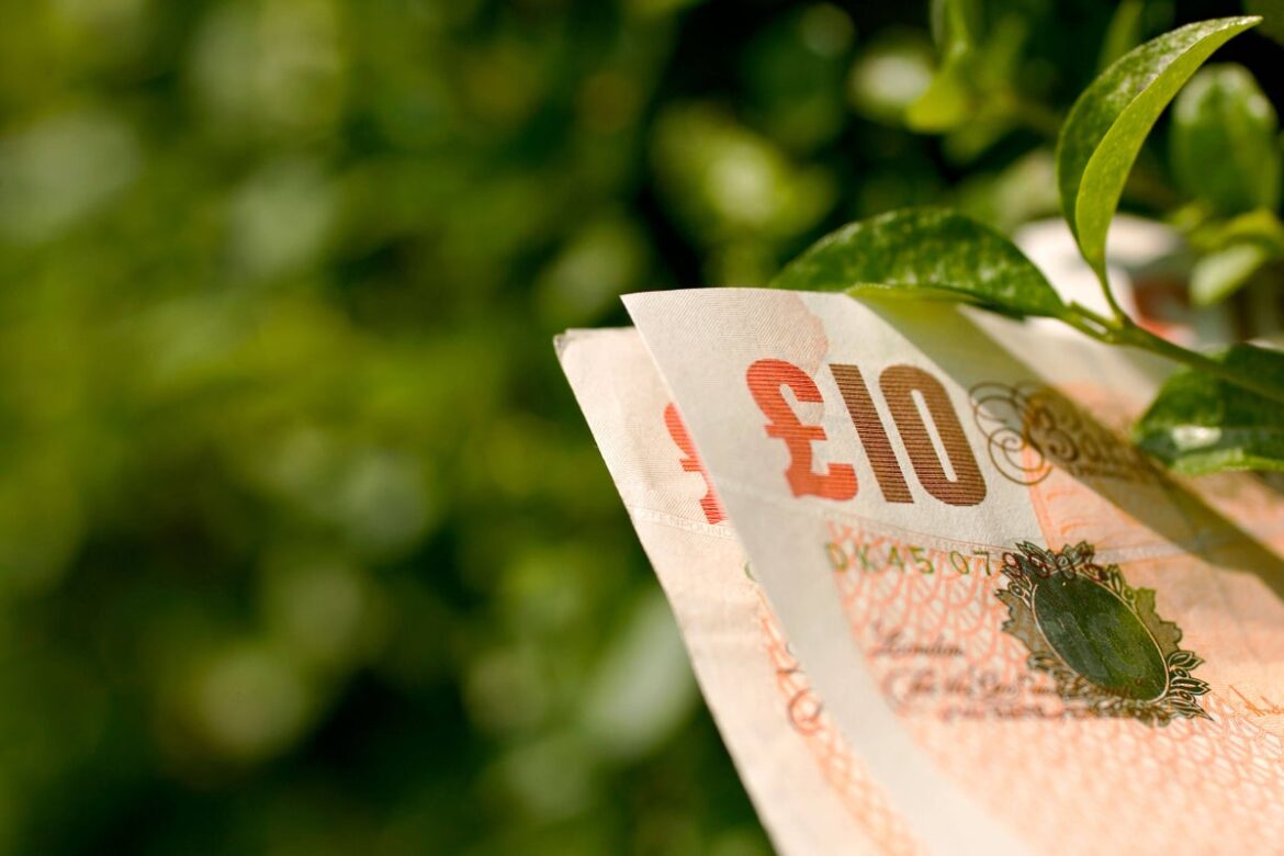 Money-saving tips for the thrifty gardener Money-saving tips for the thrifty gardener
