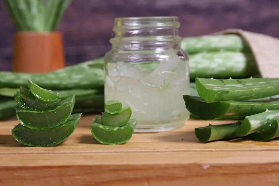 fresh raw aloe vera on table after harvest