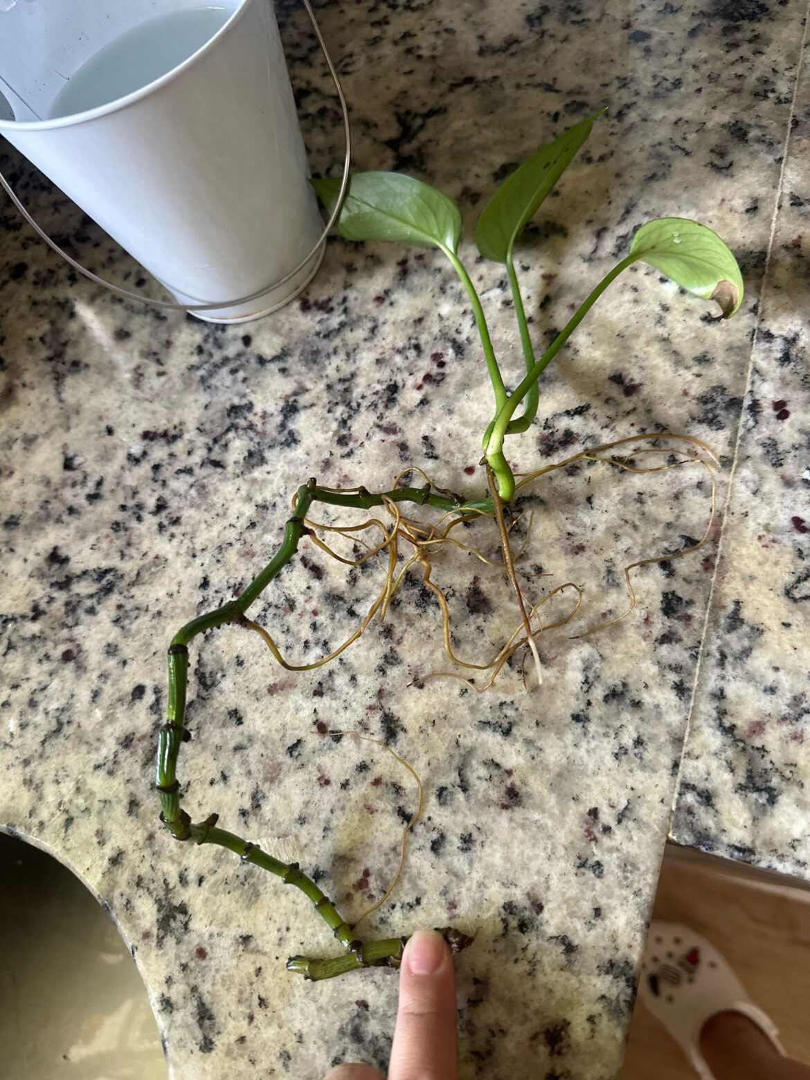 Propagating