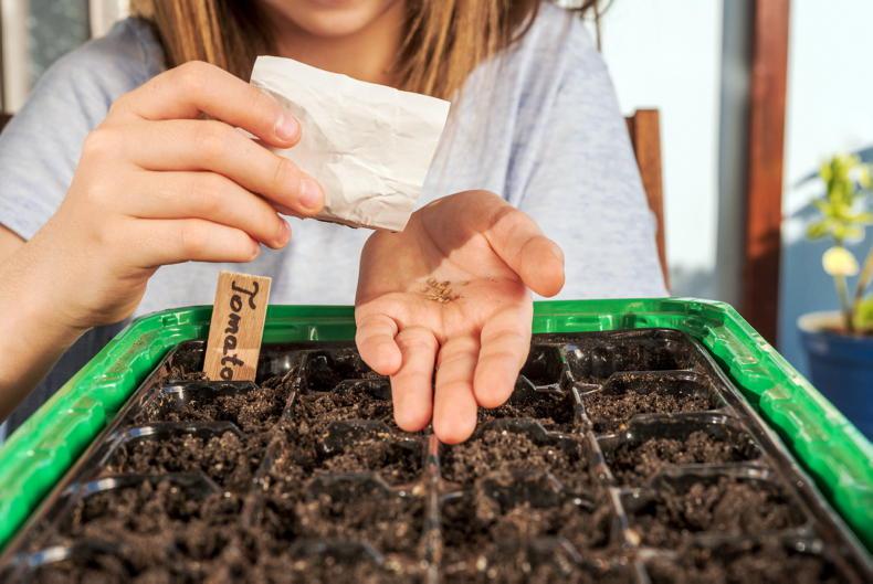 Gardening with Kitty: sowing the seeds for springtime Gardening with Kitty: sowing the seeds for springtime