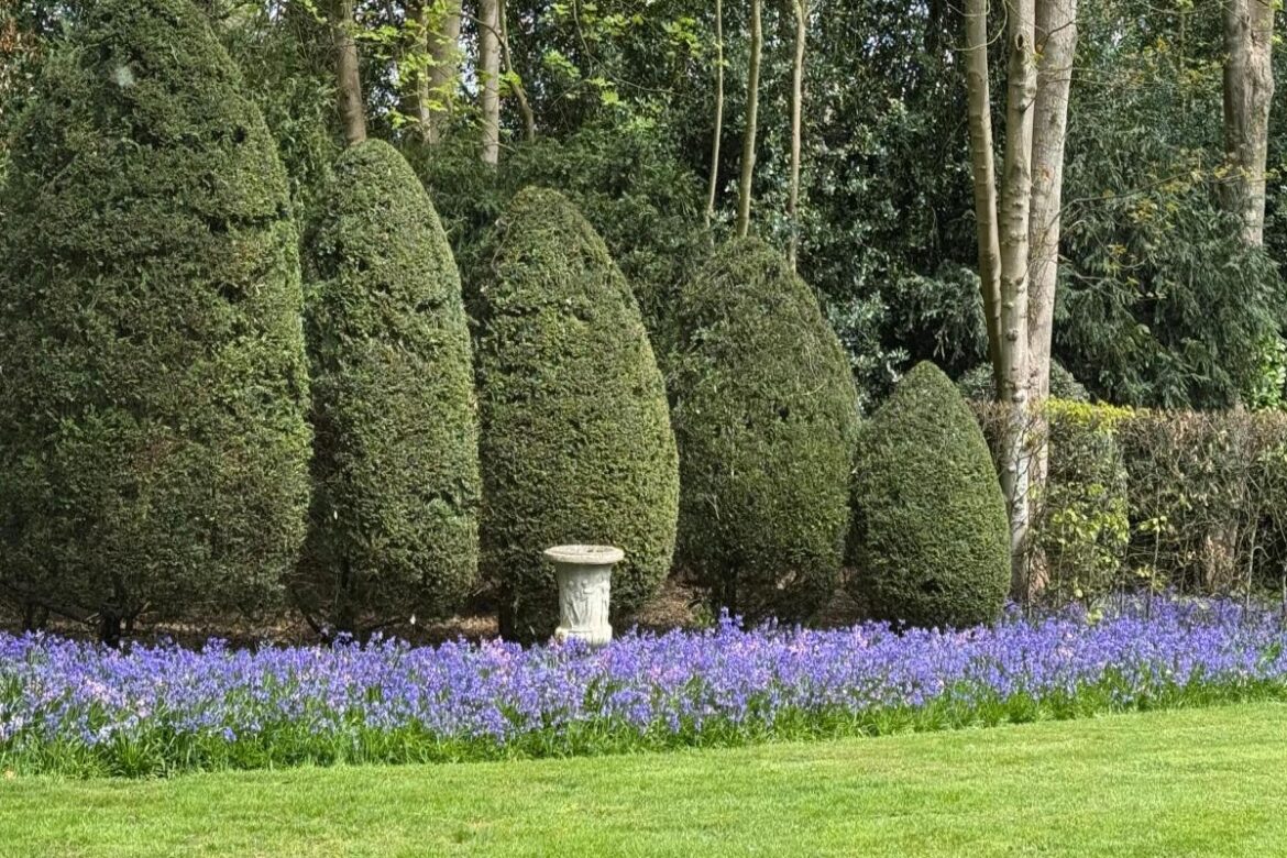 Hidden garden with lakes and woodland walks opening for one day this spring Hidden garden with lakes and woodland walks opening for one day this spring