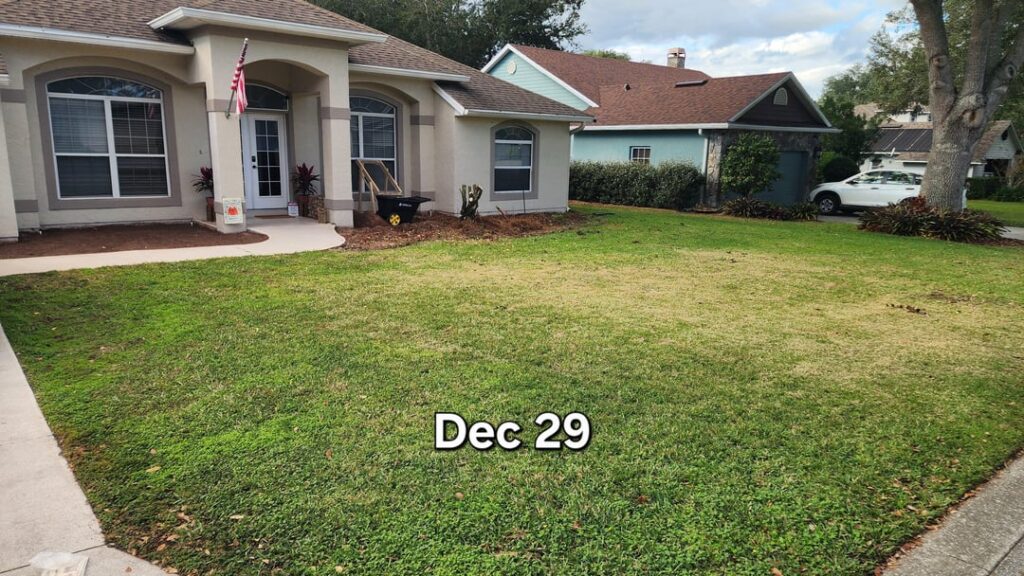 My first time redoing lawn (central Florida 9b) My first time redoing lawn (central Florida 9b)