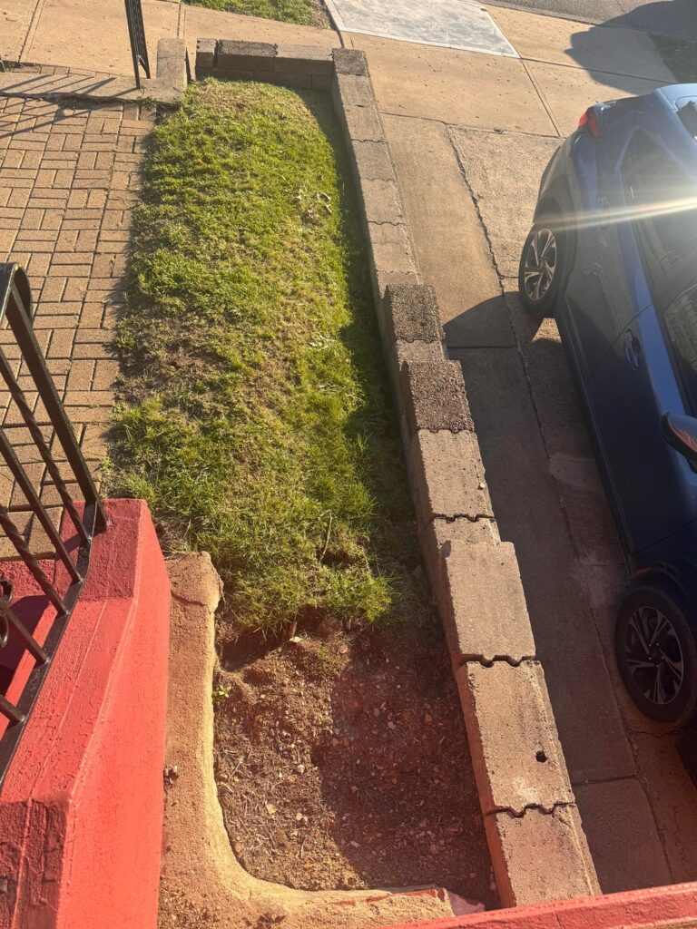 First landscaping project in our new house
