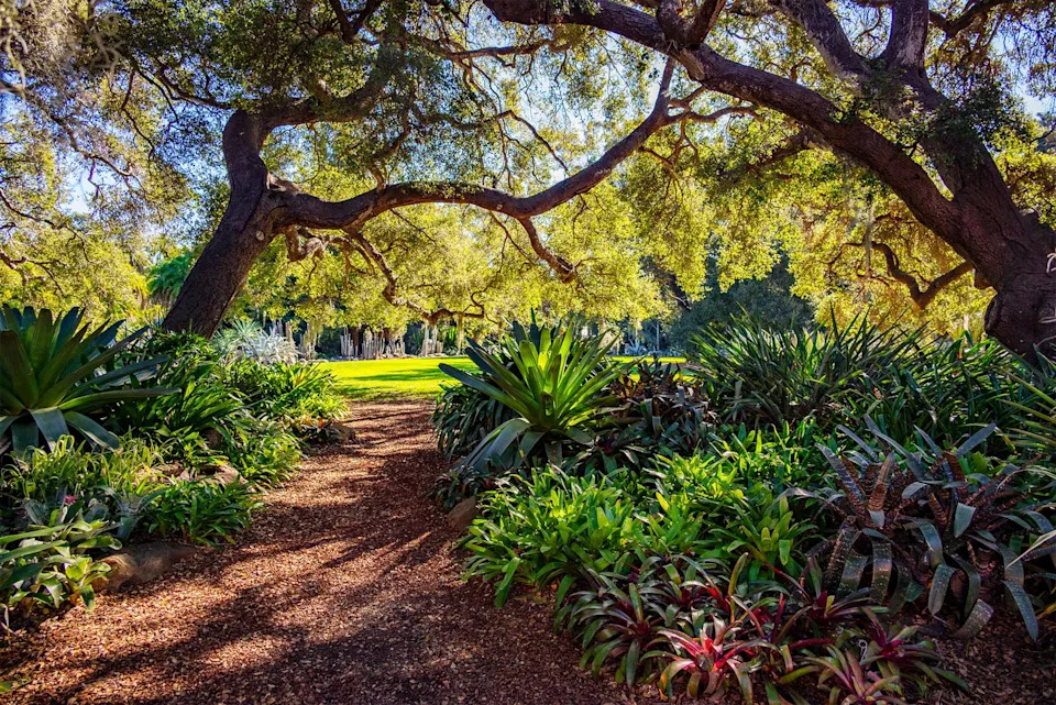 Photo credit: Lisa Eisner