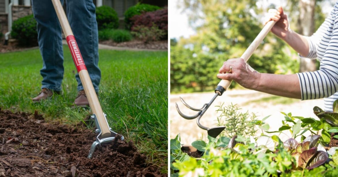 11 Best Weeding Tools in 2026, According to Experts 11 Best Weeding Tools in 2026, According to Experts