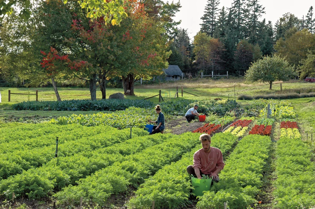 working in the garden at Eric Coleman's farm in 