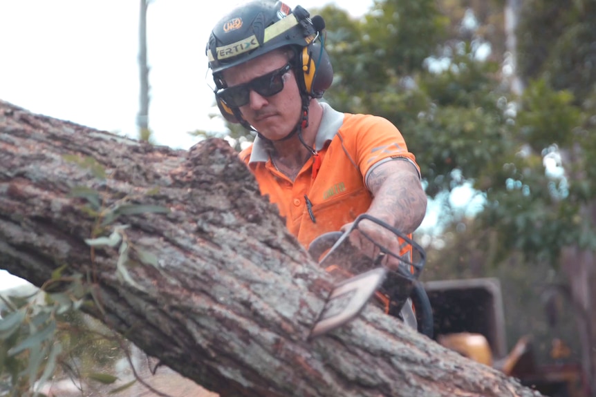 A man using a chainsaw to cut a tree