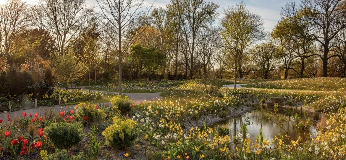Two-Acre Queen Elizabeth II Garden Opens in Regent’s Park Two-Acre Queen Elizabeth II Garden Opens in Regent’s Park