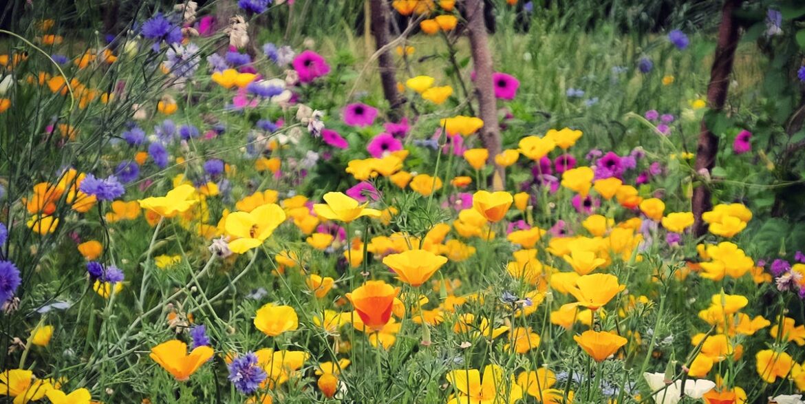 Experts Share a Low-Effort Gardening Trend to Try Experts Share a Low-Effort Gardening Trend to Try
