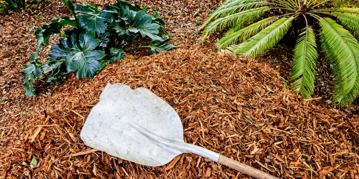 This Mulching Mistake Could Ruin Your Yard