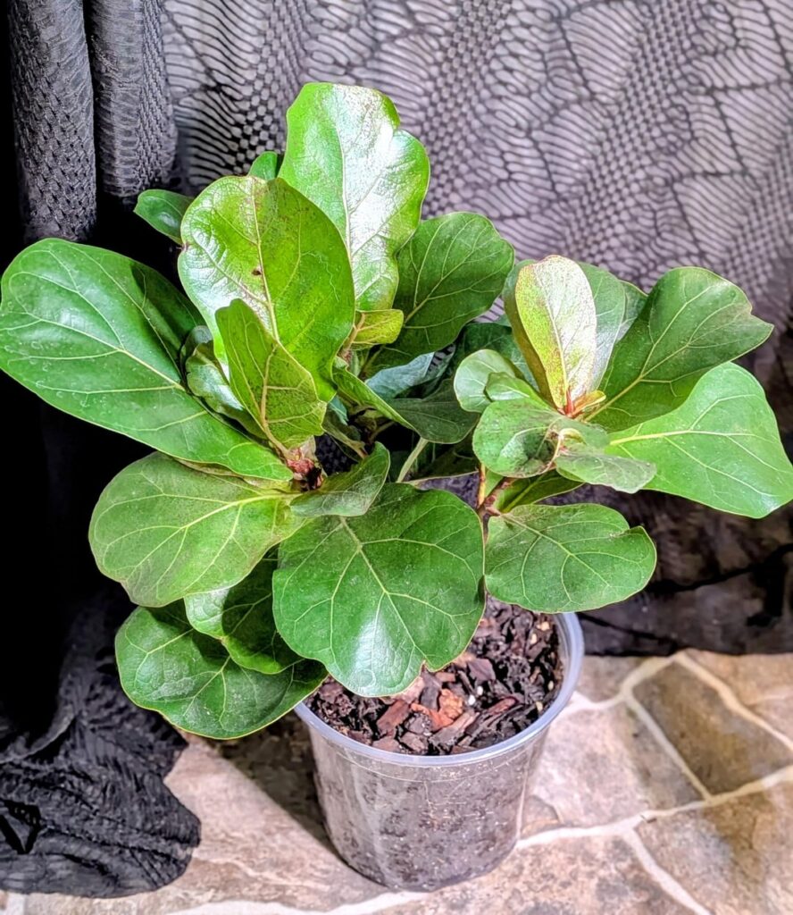 Growing so fast!!