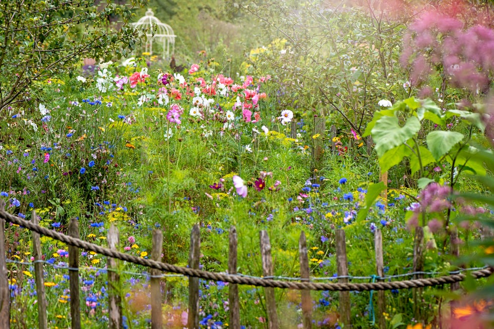 Beautiful summer wildflower garden with a roped rustic wooden gate and wrought iron pergola in the background Beautiful summer wildflower garden with a roped rustic wooden gate and wrought iron pergola in the background