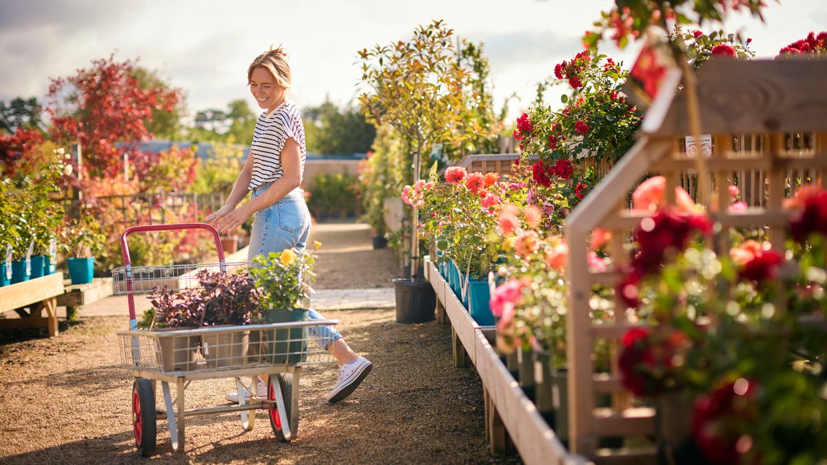 Garden centre