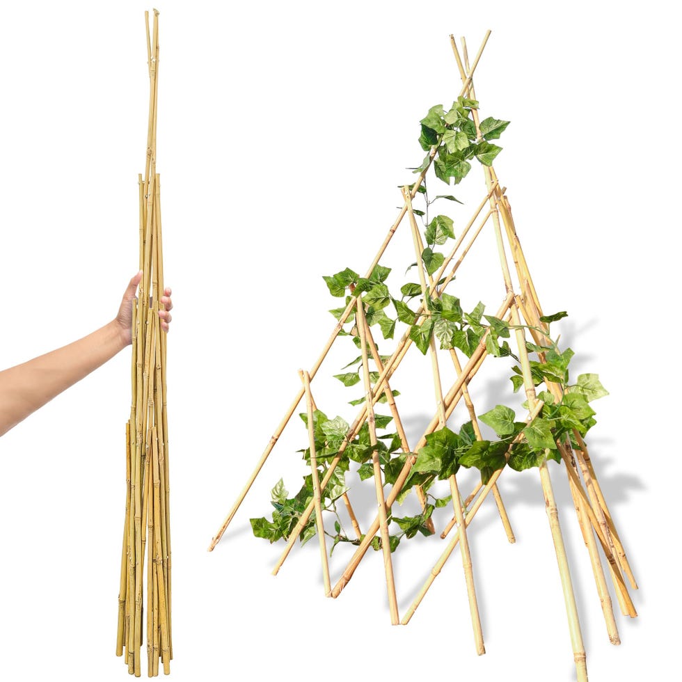Expandable Bamboo Teepee Trellis Expandable Bamboo Teepee Trellis