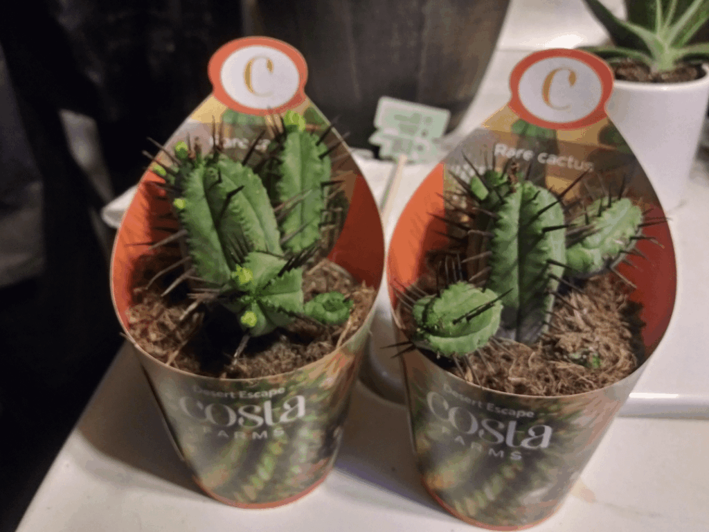 Plant Growth