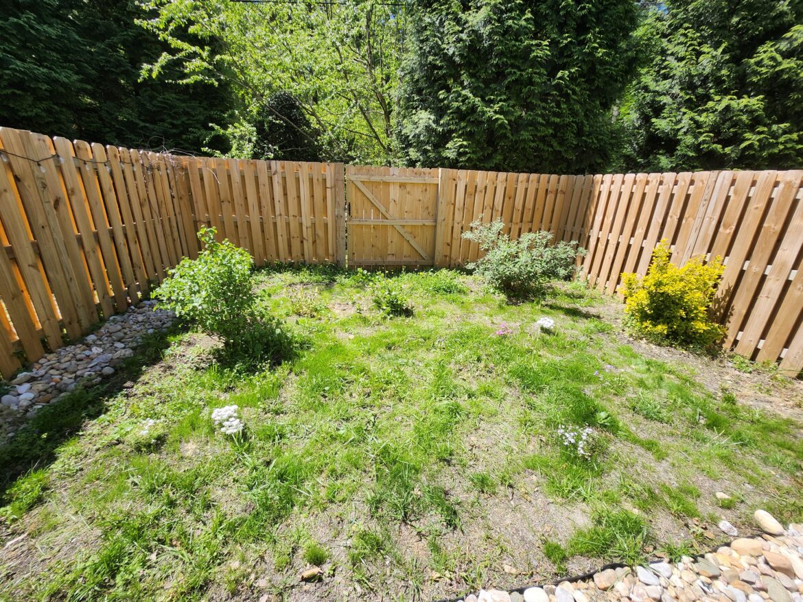 Combination of grass, a few planted bushes and ground cover. Plus natural growth.