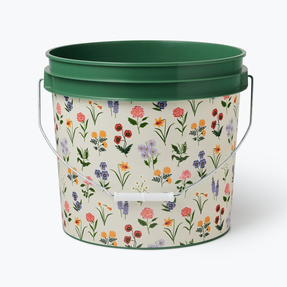 Bucket Bucket